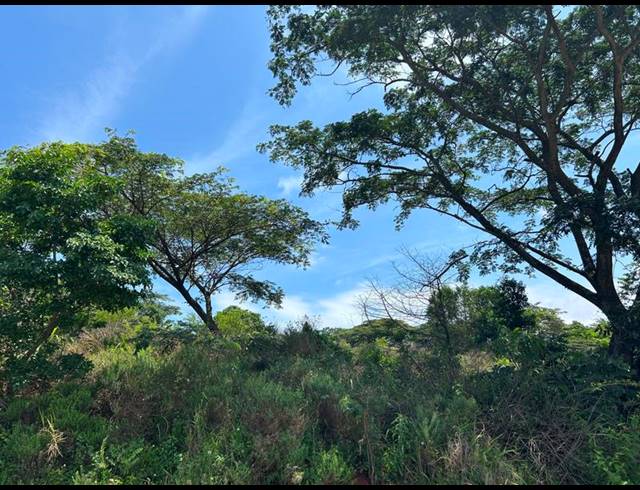 LAND FOR SALE IN ZINI RIVER ESTATE